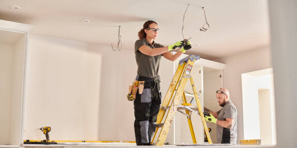 Best Electric Panel Repair  in Ocoee, FL